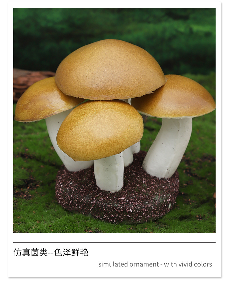 仿真迷您植物香菇平菇菌类套装早教植物静态摆件认知模型套装现货详情11