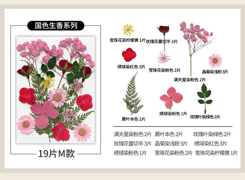 新款干花压花材料包贴脸装饰眼角写真花瓣diy滴胶相框植物标本详情22
