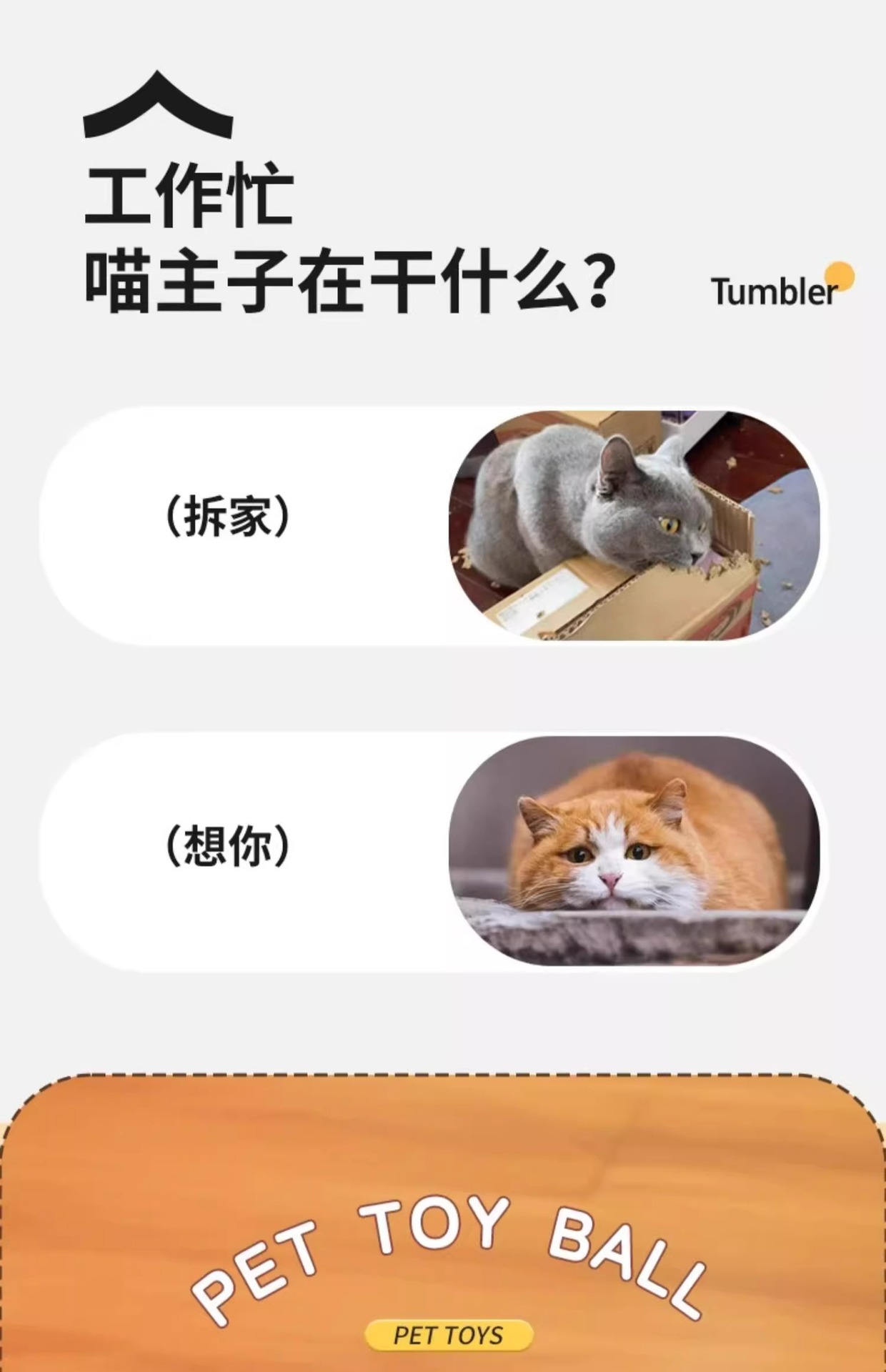 Cat toys: Automatic cat teasing ball for self-entertainment and boredom, smart cat teasing stick for energy consumption, Tuk Tuk ball, electric dog teasing ball pic 3