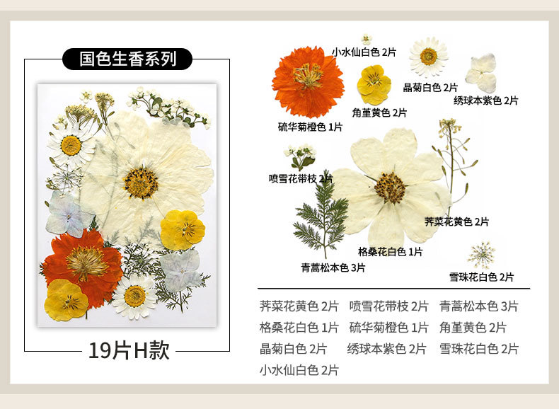 新款干花压花材料包贴脸装饰眼角写真花瓣diy滴胶相框植物标本详情17
