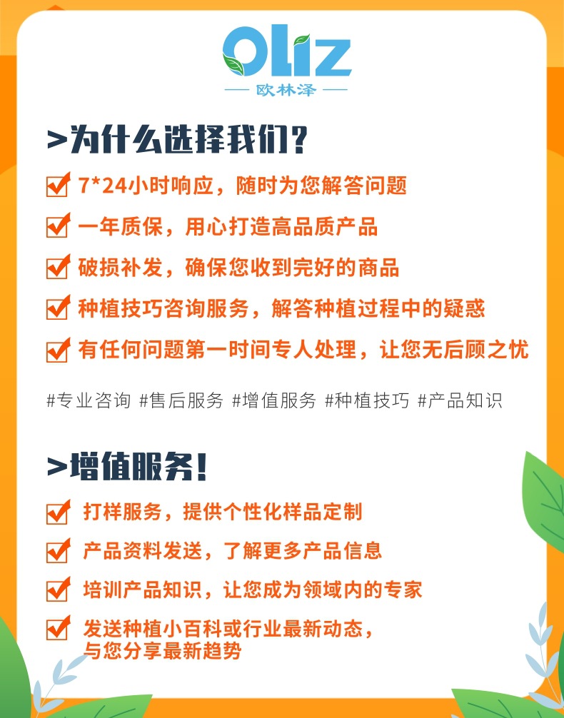 跨境工厂现货批发透明塑料懒人花盆双层简约自吸水棉绳亚马逊园艺详情1