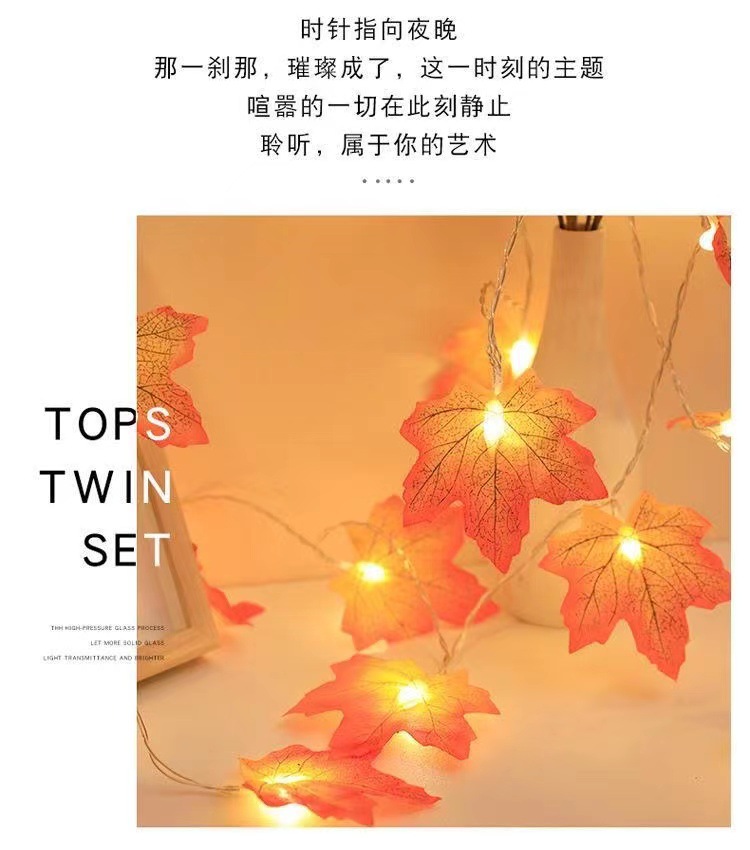 跨境LED仿真枫叶南瓜灯串感恩万圣节圣诞节日氛围装饰庭院小彩灯详情17