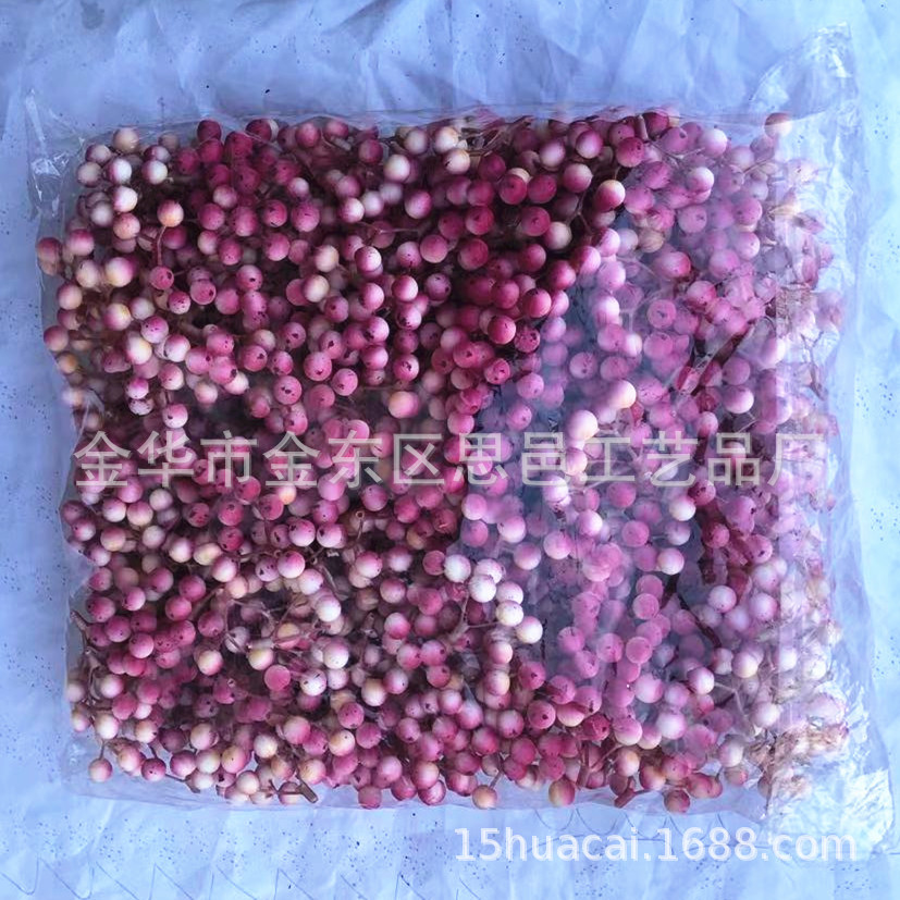 SL-9Heads-Pinks.jpg