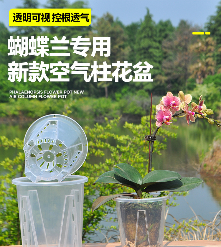 蝴蝶兰专用花盆空气柱透明青山盆特大号大口径塑料圆形桌面高花盆详情2