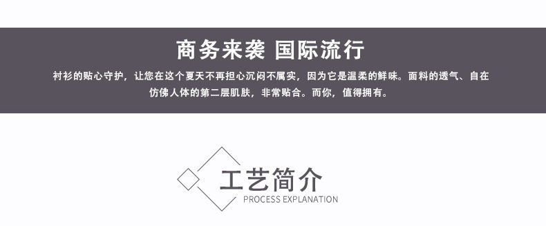 纯色高级感刺绣蜜蜂高端商务纯色棉免烫长袖百搭刺绣蜜蜂男衬衫详情6