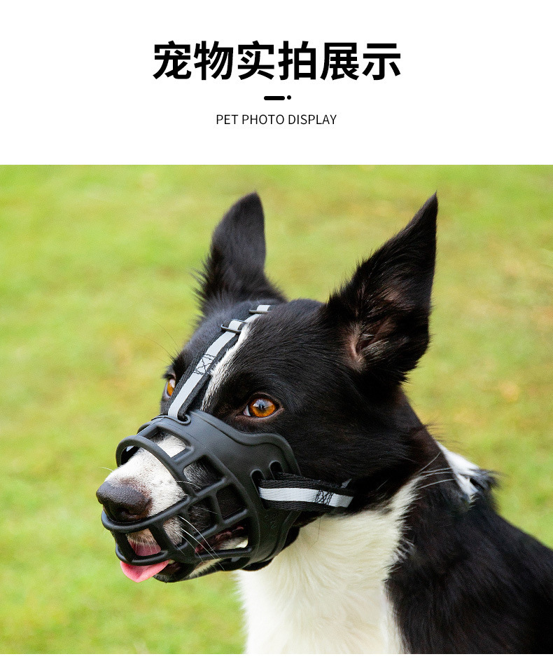 狗嘴套反光宠物狗嘴罩防咬叫乱吃中型大型犬狗口罩金毛狗止吠器详情11