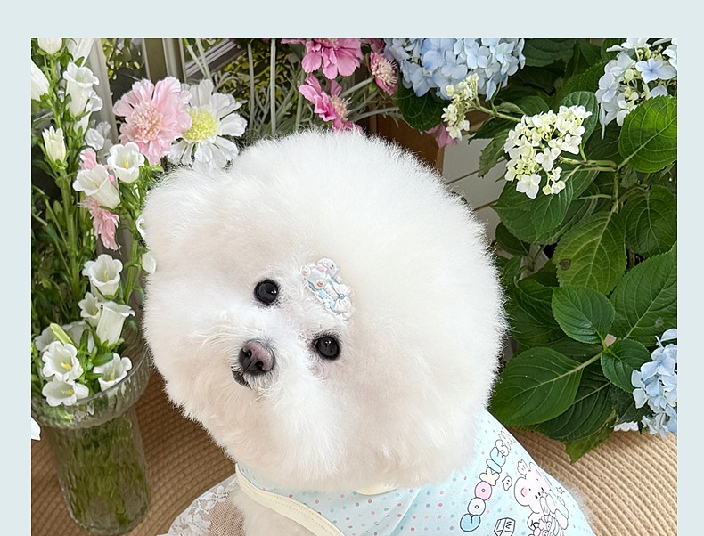 Spring and summer clothes for cats and dogs: Thin, cute, cartoon printed, stylish macaron-colored halter, Bichon and Pomeranian small, short style pic 18