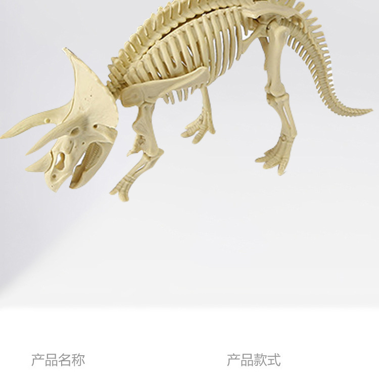 跨境DIY考古恐龙挖掘益智玩具奖励拼插霸王龙骨架铜锤套装模型详情8