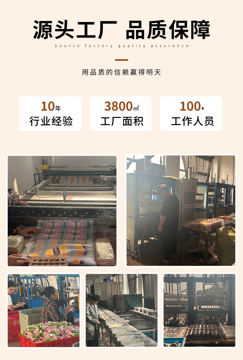 网红解压玩具小海狸露比慢回弹捏捏乐可爱赞萌公仔创意桌面摆件详情4