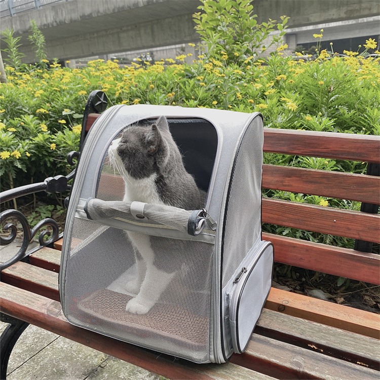 猫包外出包便携透气双肩猫背包可折叠猫咪外出户外出行宠物包包详情7