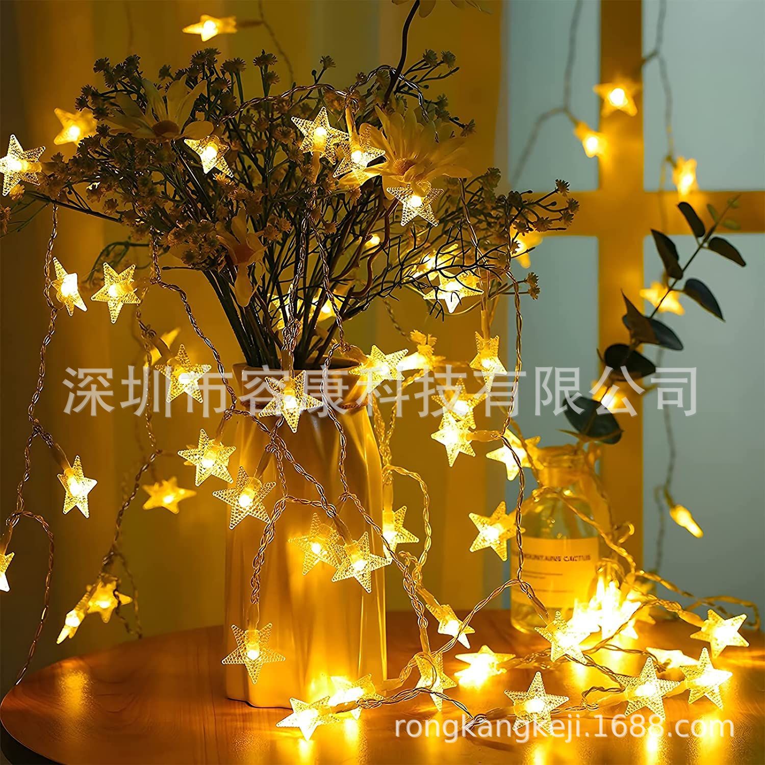 仙女串灯，可扩展用于室内、室外、婚礼派对、圣诞树、新年、花园详情12