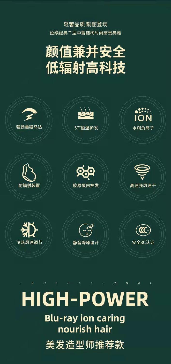 德国电吹风机家用理发店发廊大功率2300w负离子 护发静音风筒批发详情7
