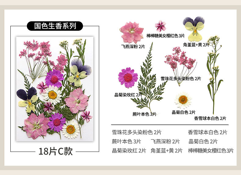 新款干花压花材料包贴脸装饰眼角写真花瓣diy滴胶相框植物标本详情12
