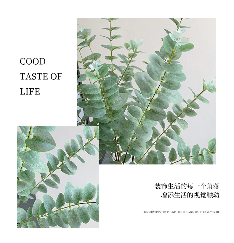长枝3D打印手感仿真尤加利叶单支金钱叶拍照道具家居装饰假树叶详情6