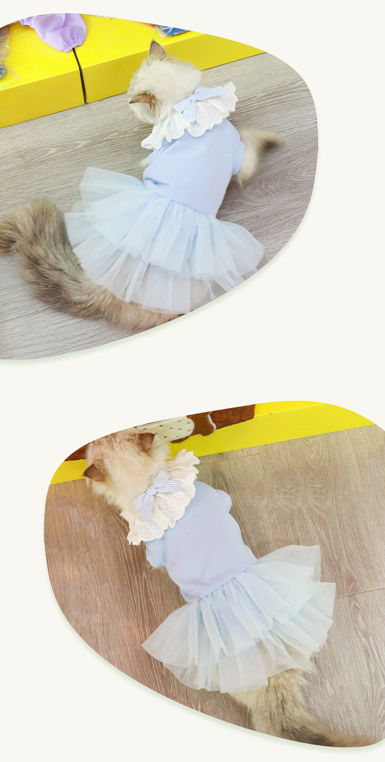 宠物公主裙现货爆款宠物衣服猫咪衣服源头工厂直销春夏轻薄纱裙详情9