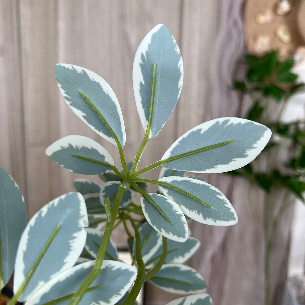 鸭嘴木仿真绿植发财叶单枝客厅装饰婚礼摆件园艺盆栽宠物绿植配件详情7