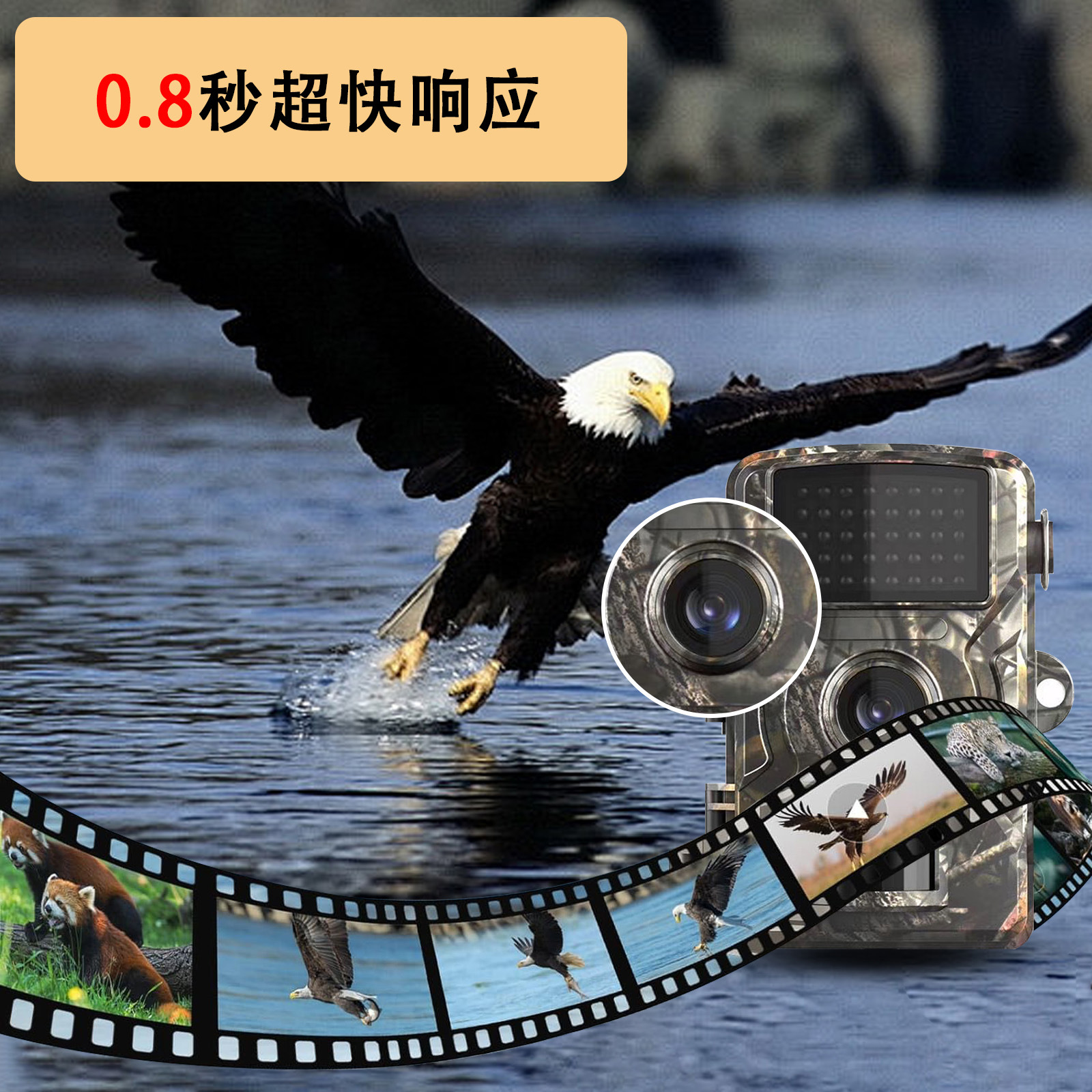 Source supplier: Cross-border outdoor high-definition camera, hunting high-definition waterproof camera, infrared thermal sensor IP66 pic 4