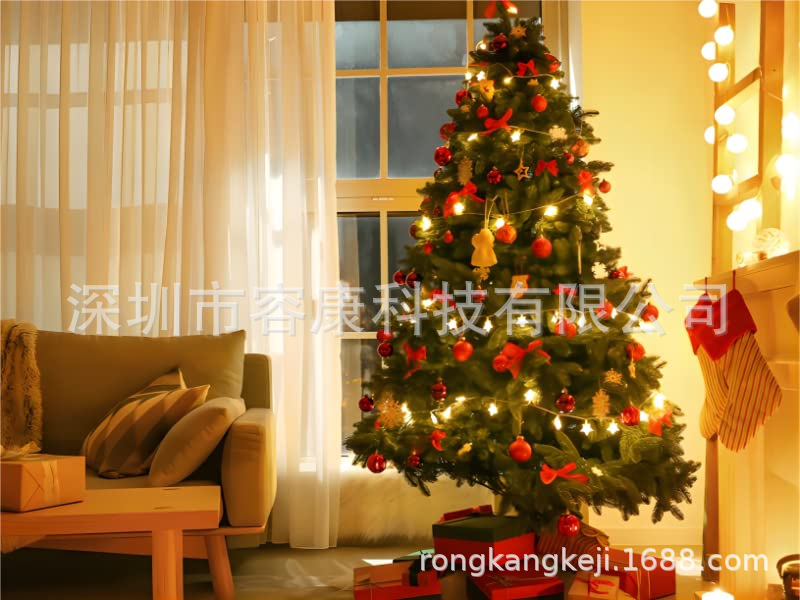 仙女串灯，可扩展用于室内、室外、婚礼派对、圣诞树、新年、花园详情4