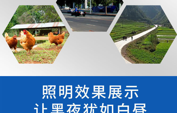太阳能投光灯一拖二天黑自动亮户外庭院灯超亮照明家用新农村路灯详情51