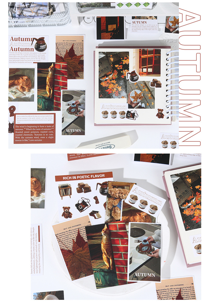 鑫奇新 50张四季予你贴纸包 春夏秋冬韩系浪漫装饰手账痛包素材包详情13