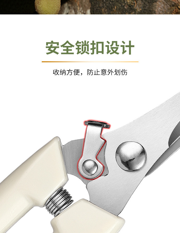 修枝剪套装园艺剪园林弯头剪花园剪刀摘果剪弹簧手动工具省力剪刀详情9