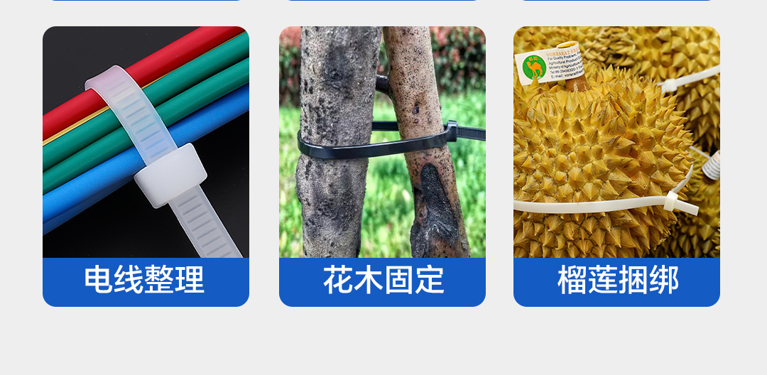 自锁式尼龙扎带3*100打包带黑白塑料电缆捆扎线带束线带厂家批发详情10
