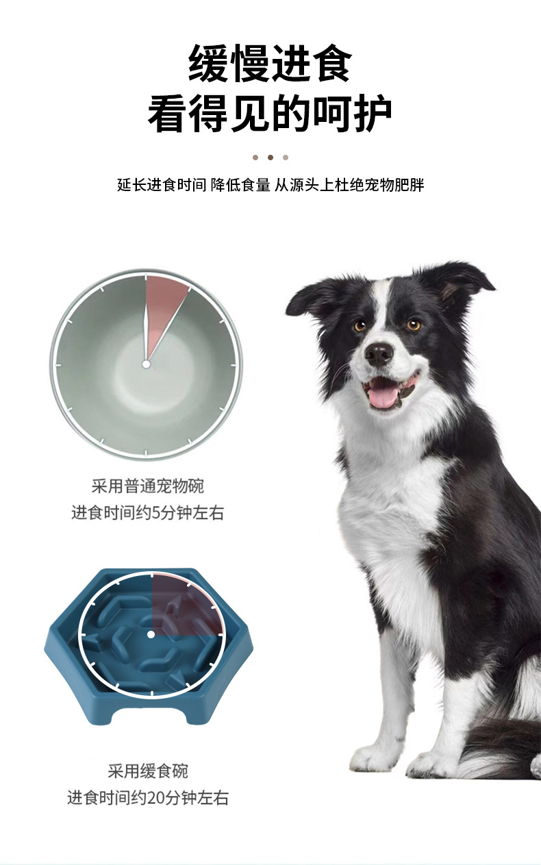 Rongka Pet Cross-border Pet Bowl Cat and Dog anti-choking and anti-vomiting Slow Food Bowl, Multi-color small and medium-sized dog slow Food six-sided bowl pic 4