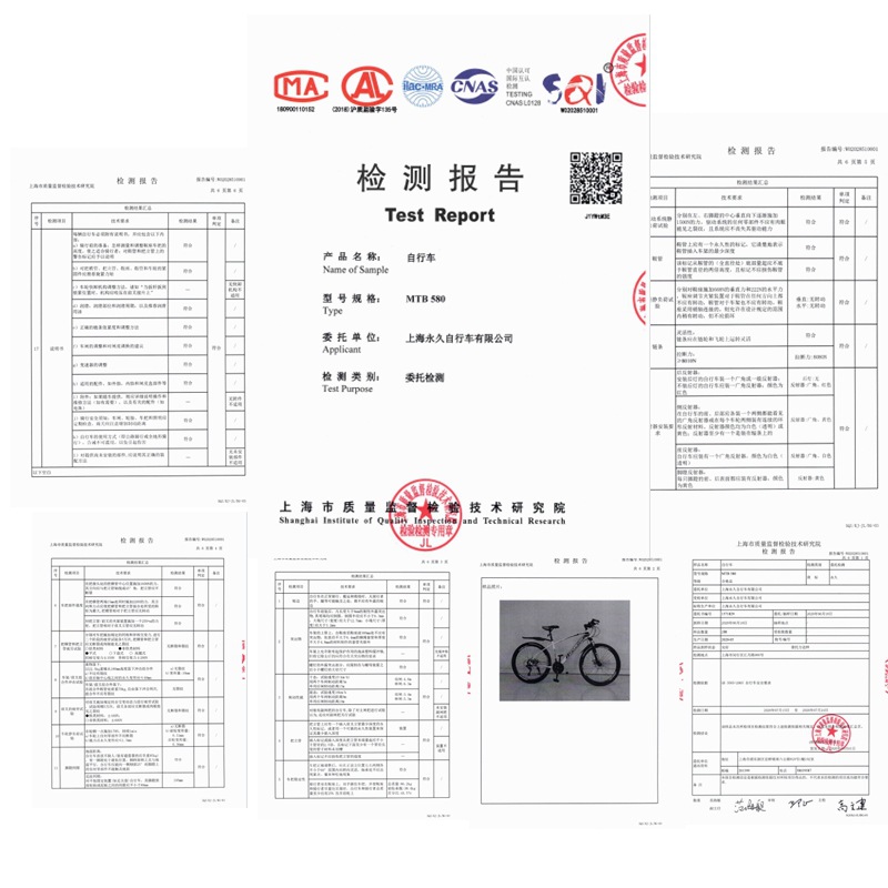 【品牌】永久牌山地车变速成人单车自行车bicycle 山地自行车详情9