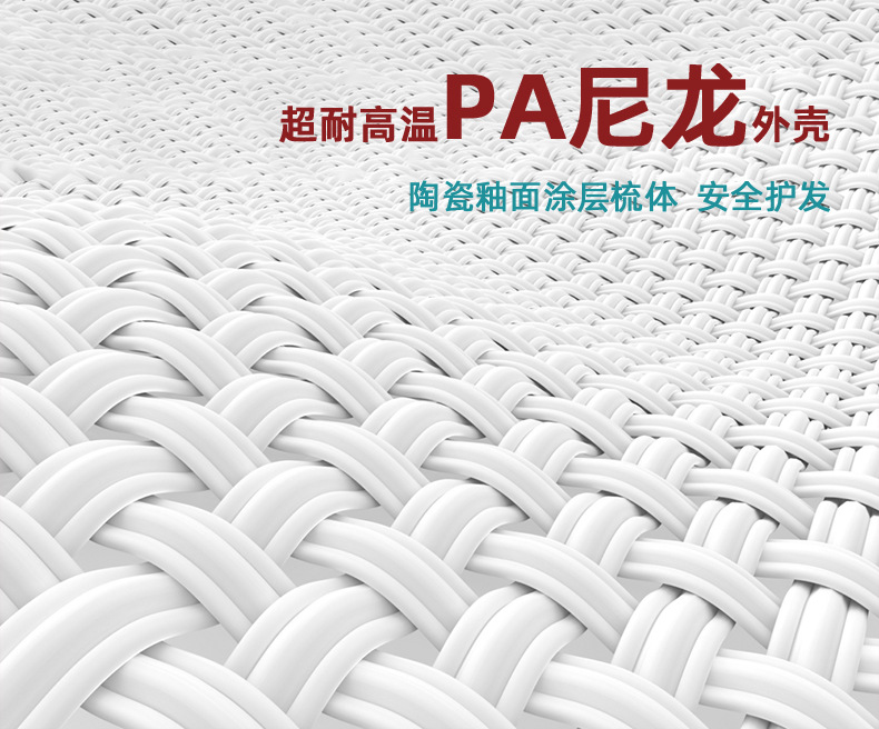 Hot air comb, multi-functional hair dryer, hair curler, negative ion one-stop hair dryer 2008 pic 13