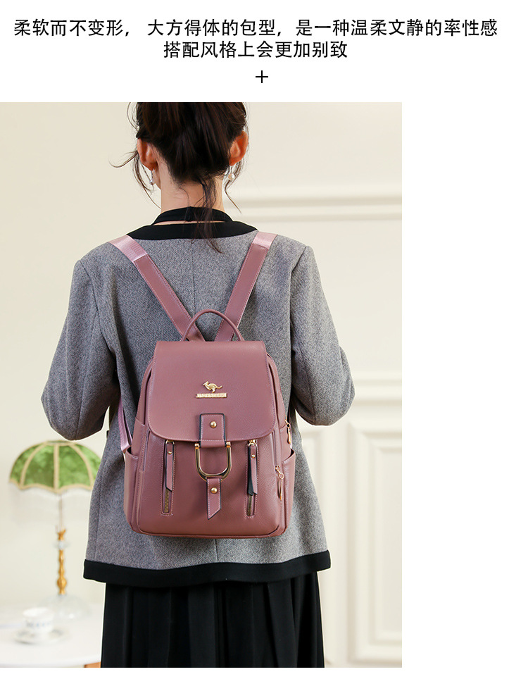 女士双肩背包高颜值多功能大容量背包2024春季新款洋气时尚休闲包详情25