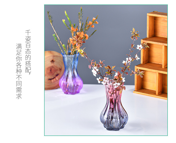 Nordic garlic-patterned glass vase with a transparent tabletop for living room decoration, ins style, high appearance level, dried fresh flower vase pic 5