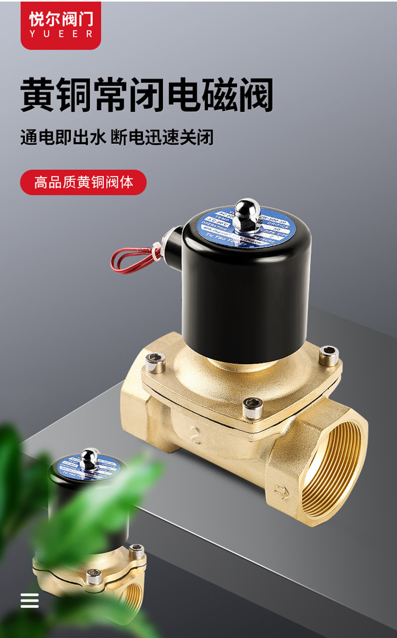 常闭黄铜电磁阀水阀气阀防水线圈电子管道控制开关220v24v4分6分详情2