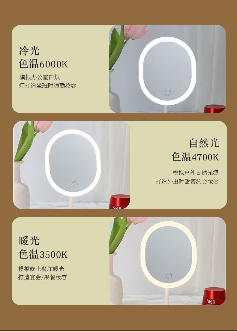 LED椭圆镜led化妆镜网红美妆梳妆镜充电带灯桌面智能补光镜礼品详情5