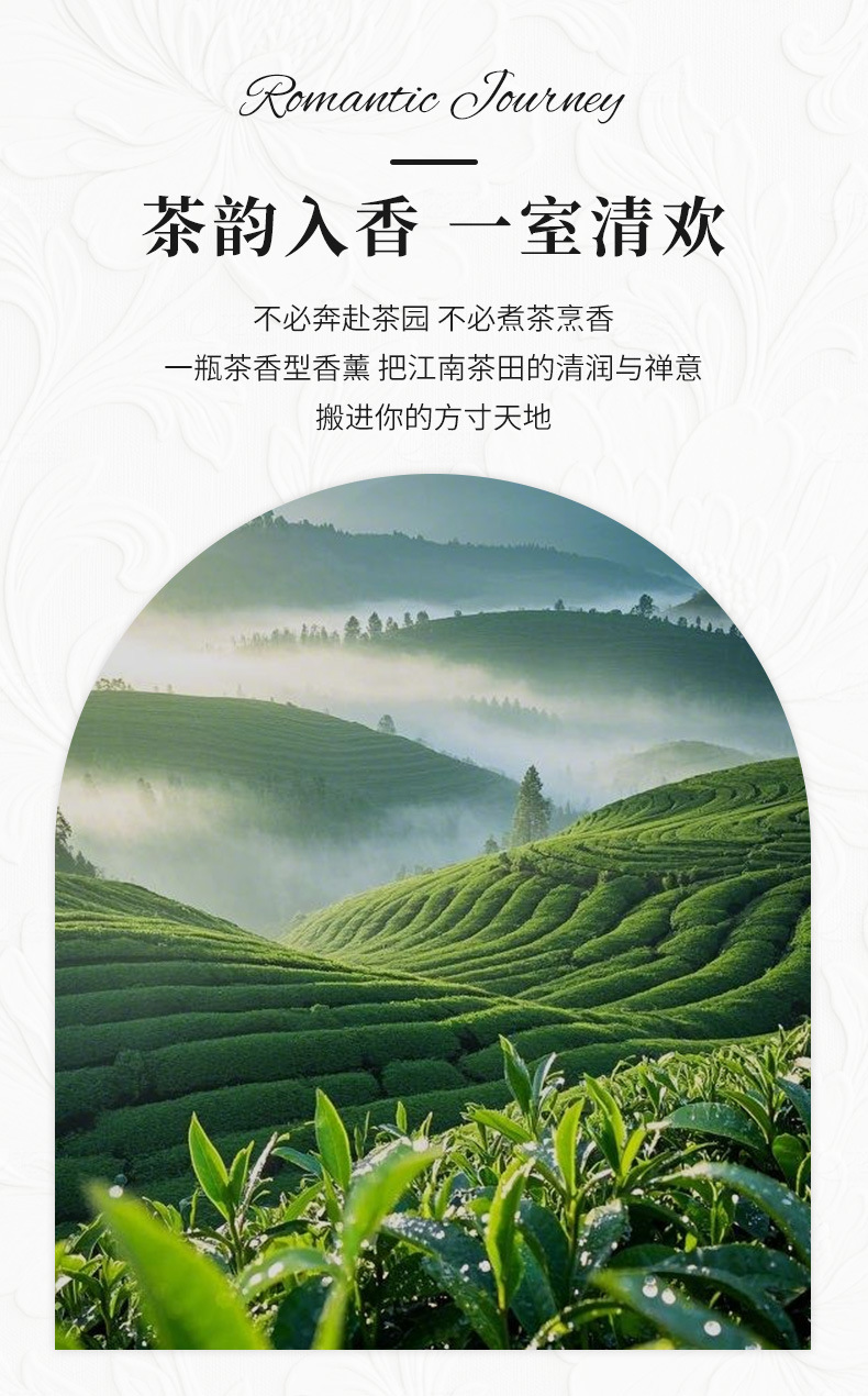 Lime flameless aromatherapy high-end indoor hotel fragrance display, Longjing tea fragrance Lasting 90 days, evaporation stick pic 2
