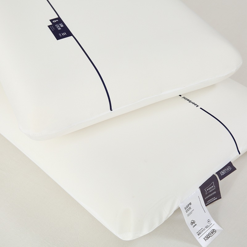 Planet Pillow pro Dual-core zero-pressure slow-rebound Memory Pillow core Hotel sleep Aid pillow pair neck support pillow pic 19
