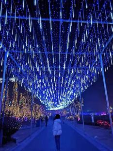 厂家直供led灯串彩灯闪灯串灯户外工程亮化装饰灯圣诞节日星星灯详情7