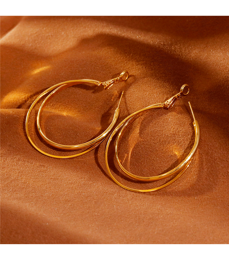 Hyacinth moda personalidad metal doble anillo aretes mujeres luz lujo alto sentido temperamento orejeras grandes orejeras de círculo orejeras hebillas pic 8