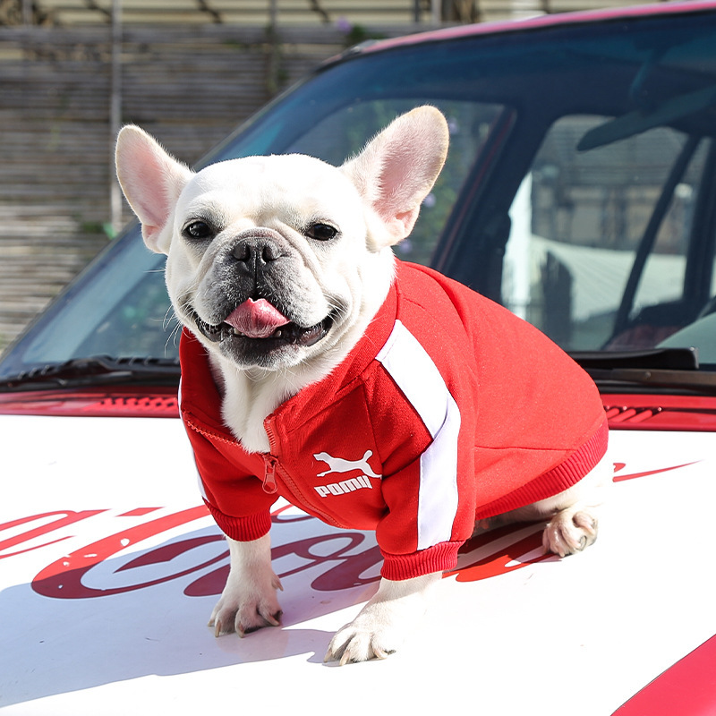 Ropa para mascotas otoño invierno calor marca de moda sudaderas letras fardoubi oso perro gato pequeño medio grande perro suministros pic 12