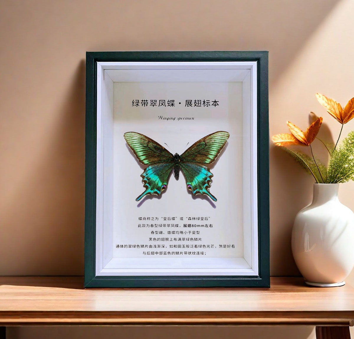 相框中空标本框木质玻璃立体黑色蝴蝶昆虫装裱自装摆台展示画框详情35