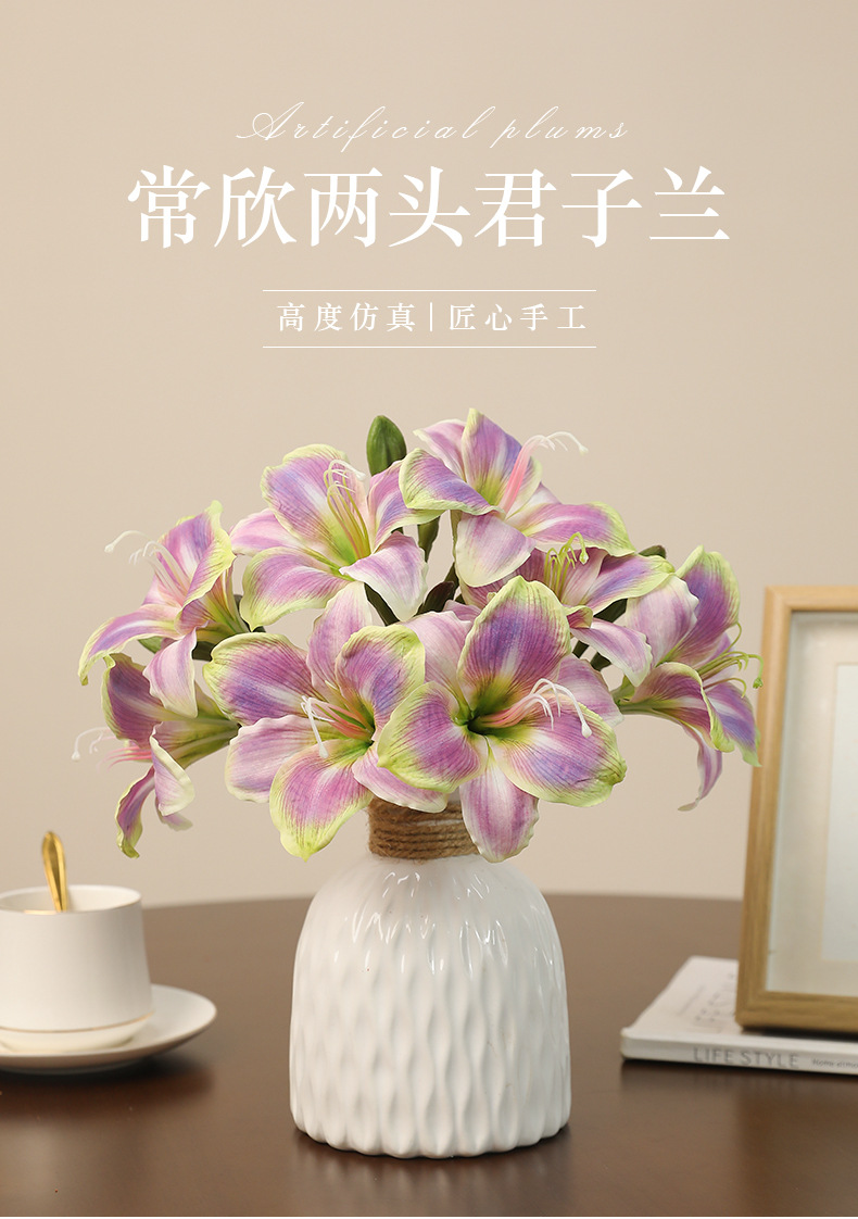 常欣两头君子兰_01.jpg