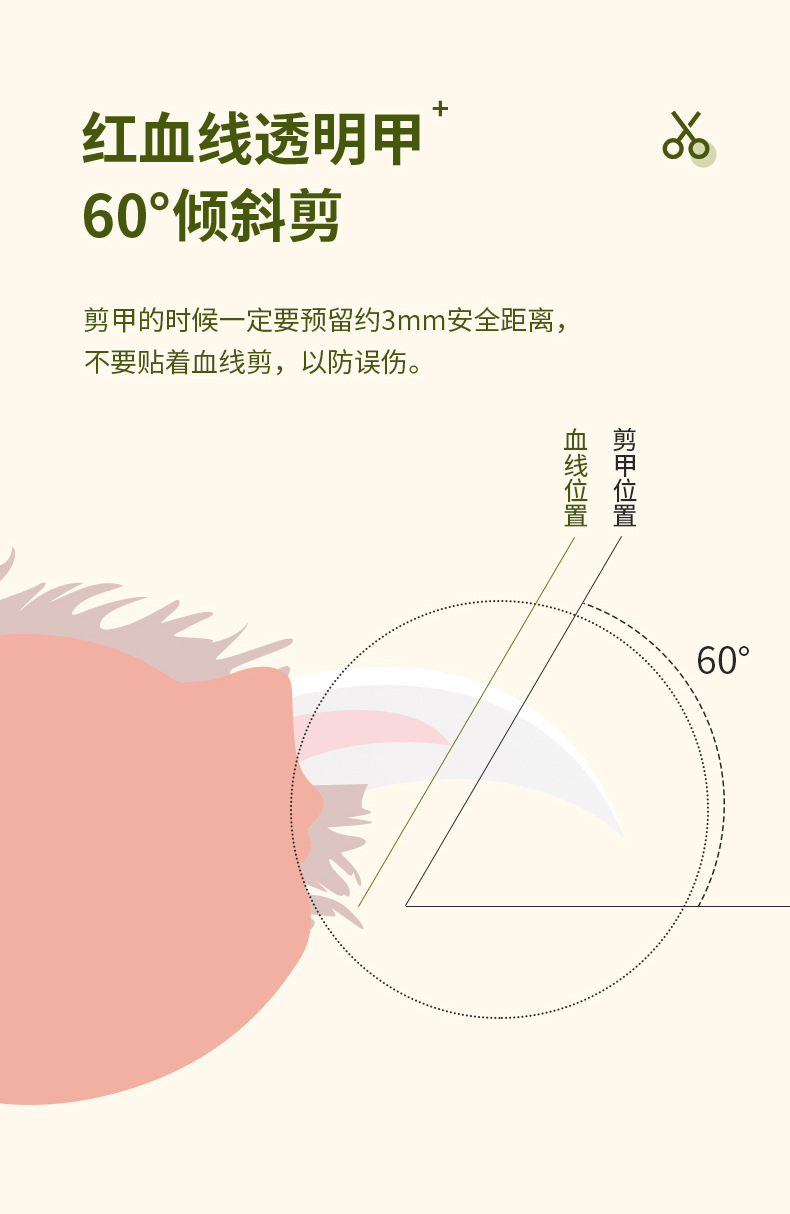 宠物指甲剪宠物免洗手套狗狗洗澡用品宠物用品宠物指甲修剪工具宠物护理必备详情4