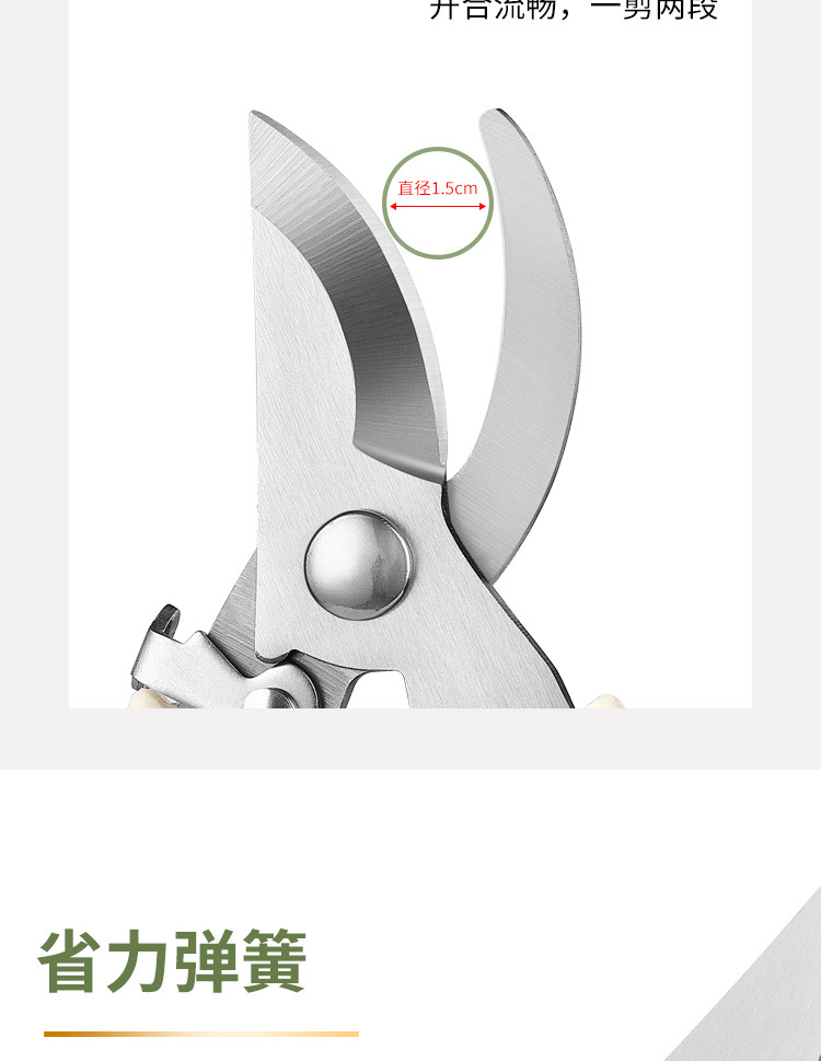 修枝剪全套园艺剪园林弯头花园摘果剪弹簧手动工具剪跨境专供批发详情13