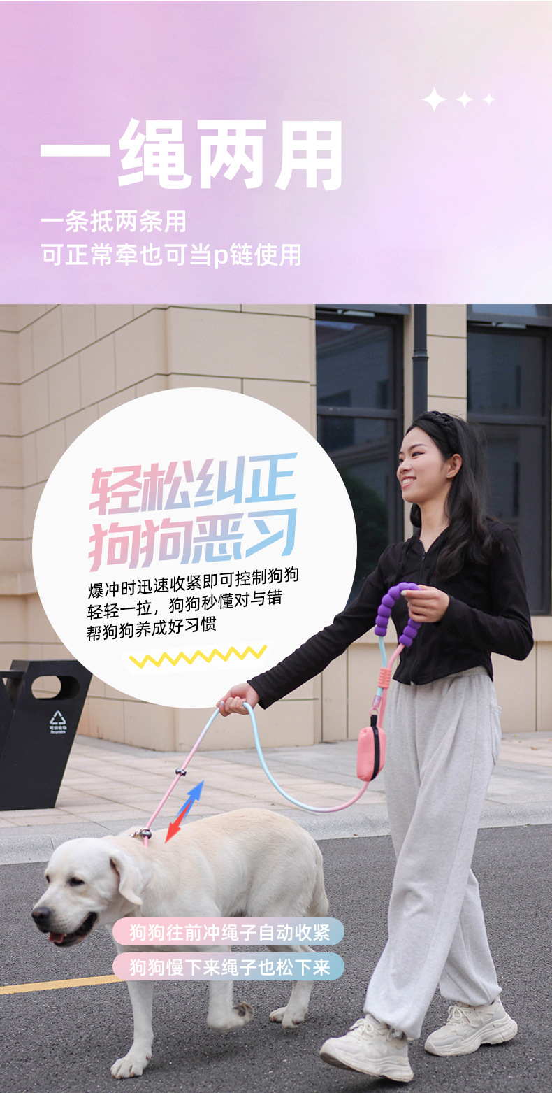 Outdoor dog leash, large dog P-chain pet leash, medium and large dog explosion-proof impact multi-functional dog walking leash pic 1
