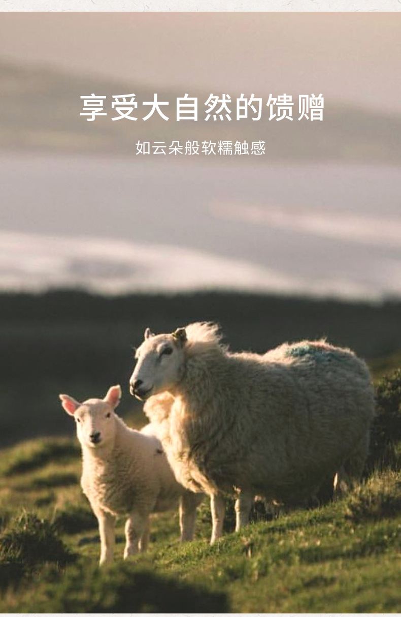 2025 New Chinese-style Australian wool Double-sided cashmere Chinese-style coat for women, mid-length black woolen wool coat with buttons pic 3