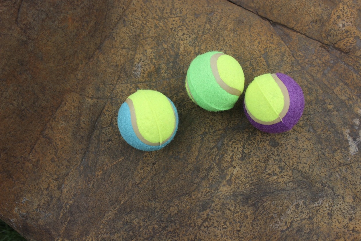 Venta directa de fábrica clase C pet tennis al por mayor perro roer roer rodar goma resistente al desgaste en stock cabello rápido pic 6