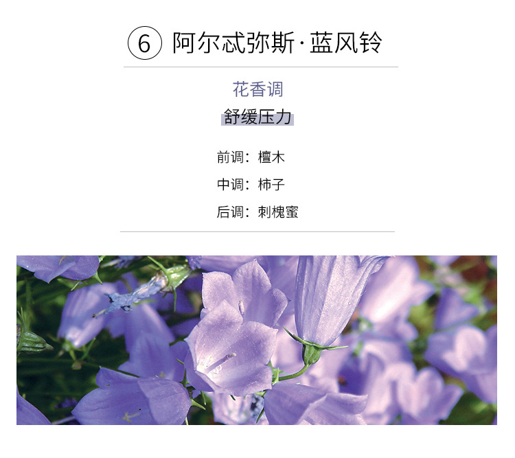香薰蜡烛精油石膏香氛礼盒伴手礼卧室家用室内圣诞节礼物详情28