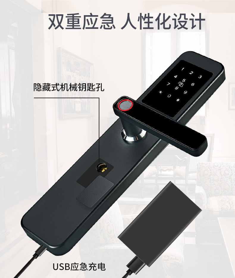 Tongtong Lock Silver and black dual-color smart door lock with facial and fingerprint recognition and blue backlit keyboard pic 22