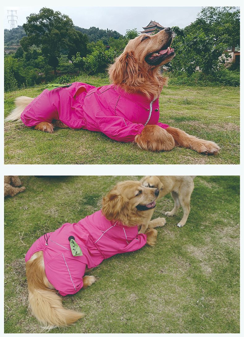 贝欧beow亲宠狗狗冲锋衣防风防泼溅抗静电保暖御寒可调节冲锋衣服详情11