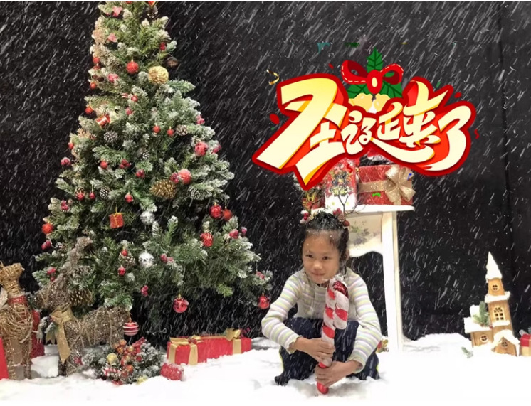 Snowflake machine, snow sprayer, small snow-making machine, wedding simulation snow magic tool, stage performance, Christmas snow sprayer pic 2