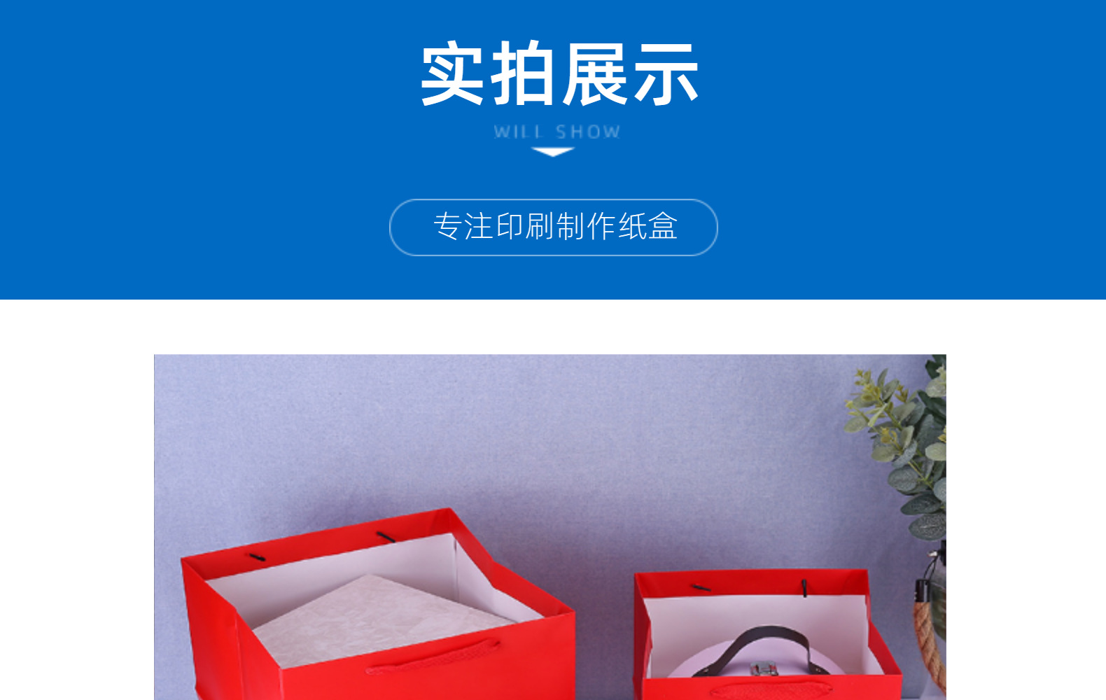 新款方形纯色牛皮纸 白卡系列方袋蛋糕礼品袋惊喜礼物鲜花袋批发详情10